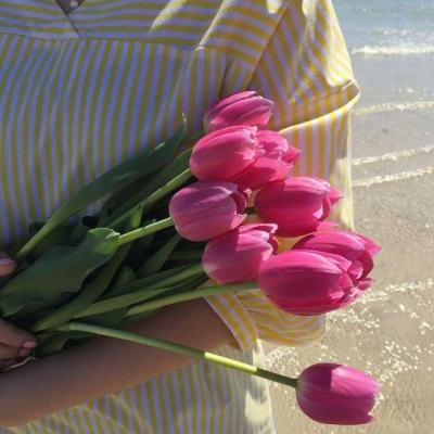 方块脸足球对决